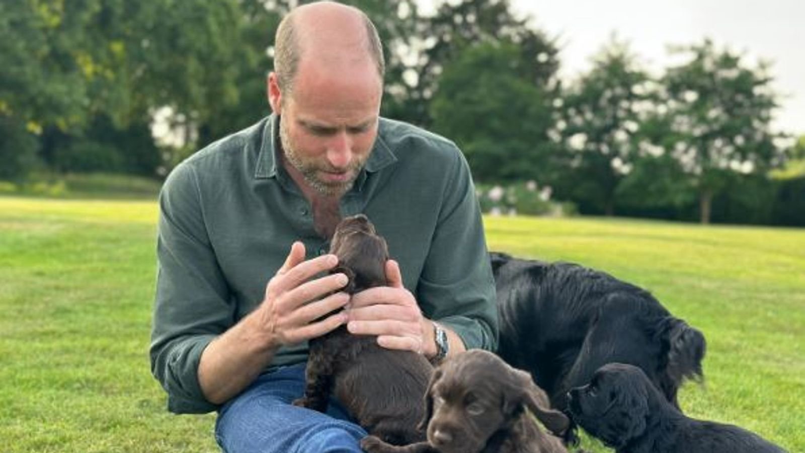 Prince William with the puppies. Pic: Prince and Princess of Wales